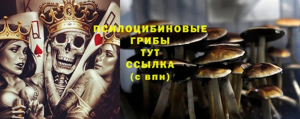 скорость Зеленодольск