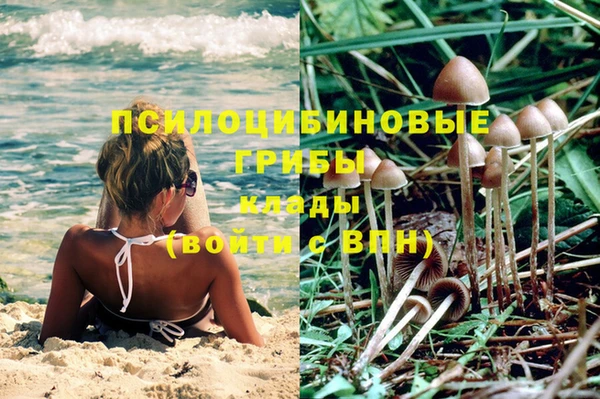 скорость Зеленодольск