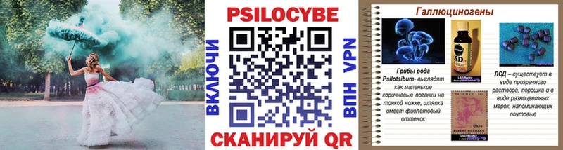 Купить закладки  Верхоянск  Галлюциногенные грибы GOLDEN TEACHER 